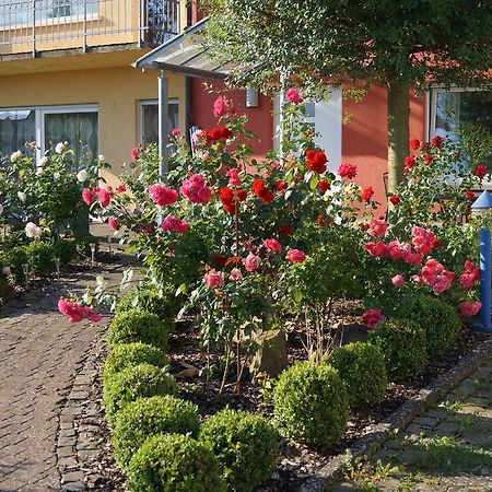 Ferienhaus Schloss-Garten Kapellen-Drusweiler エクステリア 写真