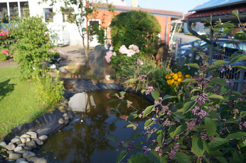 Ferienhaus Schloss-Garten Kapellen-Drusweiler エクステリア 写真